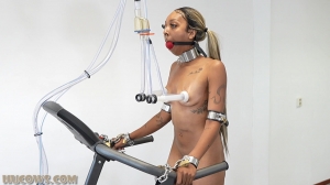 Thiccy Niccy on the treadmill