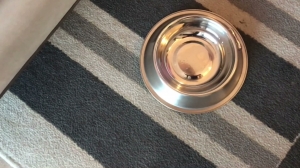 Tess Nyc - Mistress Tess - The Overnight-Femdom